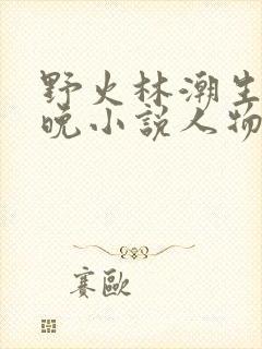 野火林潮生林晚晚小说人物野火