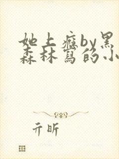 她上瘾by黑暗森林写的小说免费阅读无弹窗