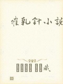 催乳针小说