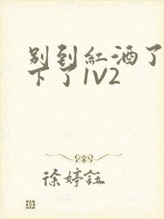 别到红酒了装不下了1V2