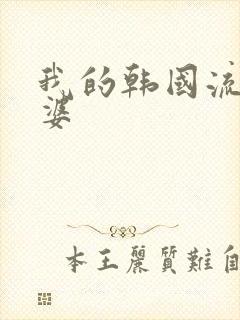 《我的韩国流氓老婆》小说封面