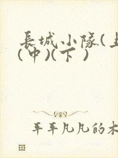 长城小队(上)(中)(下 )