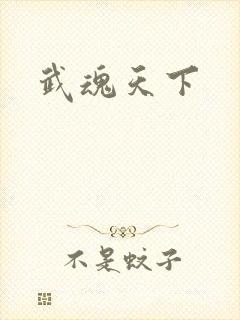 武魂天下