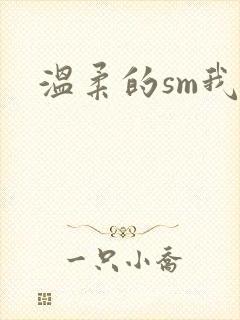 温柔的sm我