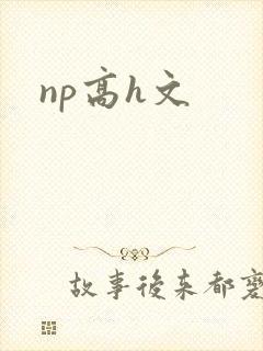np高h文