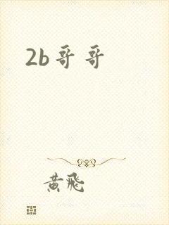 2b哥哥