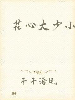 花心大少小说