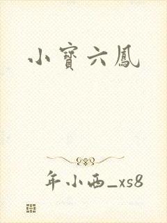 小宝六凤