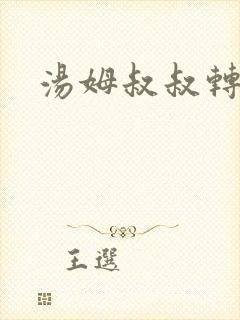 汤姆叔叔转接口