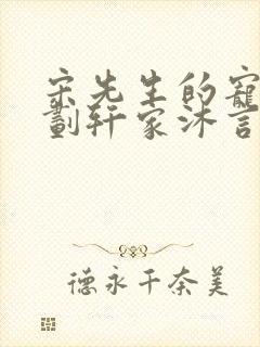 宋先生的宠妻计划轩家沐言