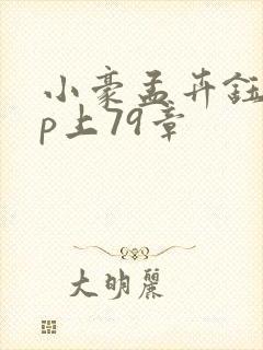 小豪孟卉钰慧三p上79章