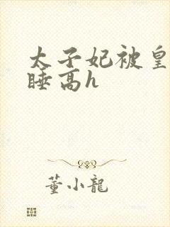 太子妃被皇上强睡高h