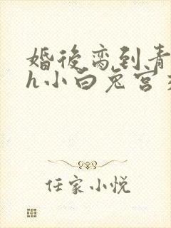 婚后脔到青梅哭h小白兔宫交h