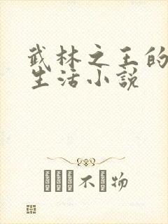 武林之王的退隐生活小说