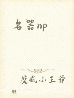 名器np