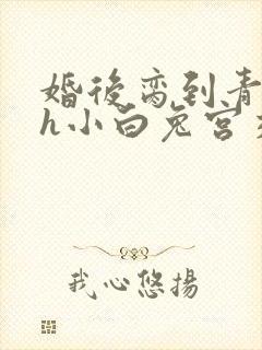 婚后脔到青梅哭h小白兔宫交h