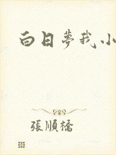 白日梦我小说