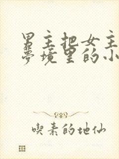 男主把女主拖进梦境里的小说