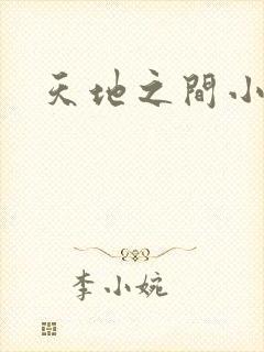 天地之间小说