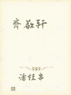 《齐敬轩》小说封面