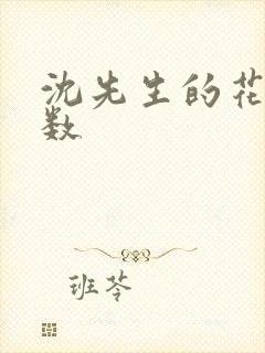 沈先生的花式调数