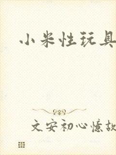 小米性玩具日记