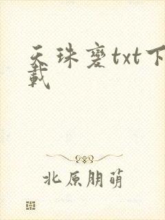 天珠变txt下载