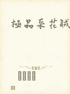 极品采花贼封面
