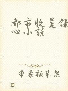 都市收美录宁素心小说