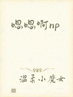 嗯嗯啊np