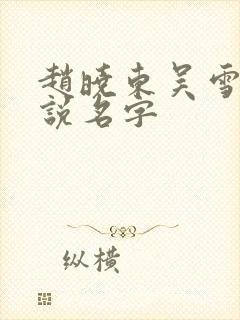 赵晓东吴雪晴小说名字