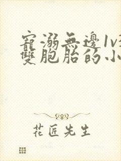 宠溺无边1v3双胞胎的小说