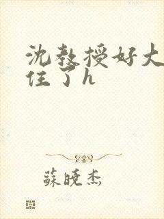 沈教授好大含不住了h