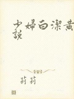 少妇白洁黄色小说封面