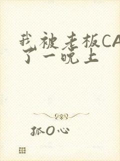 我被老板CAO了一晚上