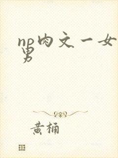 np肉文一女多男