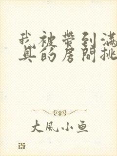 我被带到满是玩具的房间挑调作文