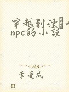 穿越到湮婸世界npc的小说