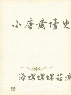 小唐黄倩史