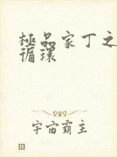 极品家丁之因果循环