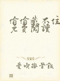 偷偷藏不住小说免费阅读