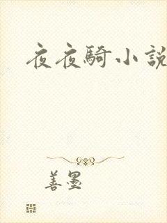 夜夜骑小说