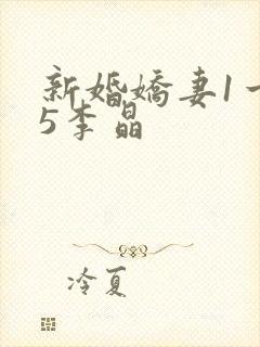 新婚娇妻1一25李晶