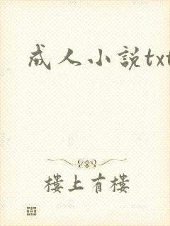 成人小说txt