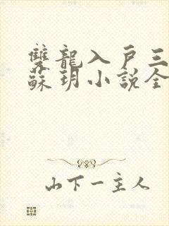 双龙入户三人行苏玥小说全文阅读