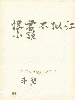 恨君不似江楼月小说