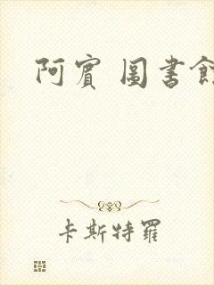 《阿宾 图书馆》小说封面