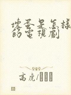 坏蛋是怎样炼成的电视剧