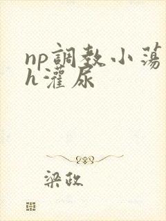 np调教小荡货h灌尿封面