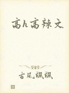 高h高辣文